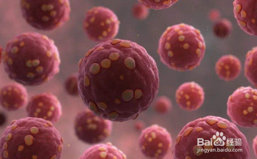 汉坦病毒传播途径有哪些 汉坦病毒主要传播途径