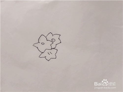 儿童简笔画——如何一笔一笔画出桔梗花？