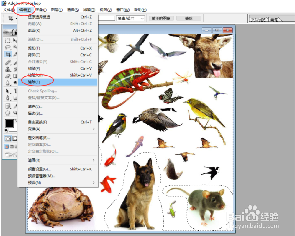 Photoshop如何清除无关内容