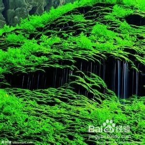 2015年云台山旅游攻略