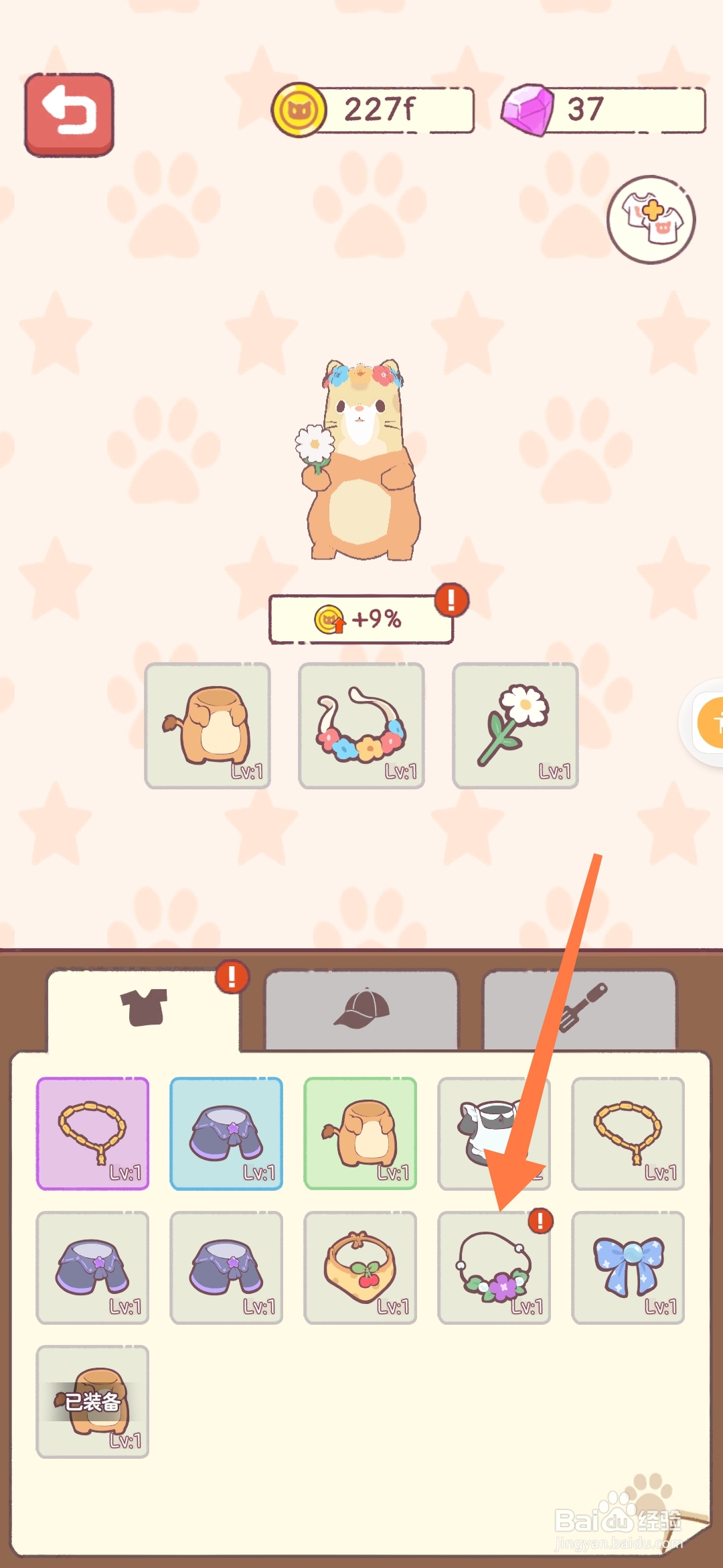 猫咪零食吧如何给猫咪穿戴花花项链