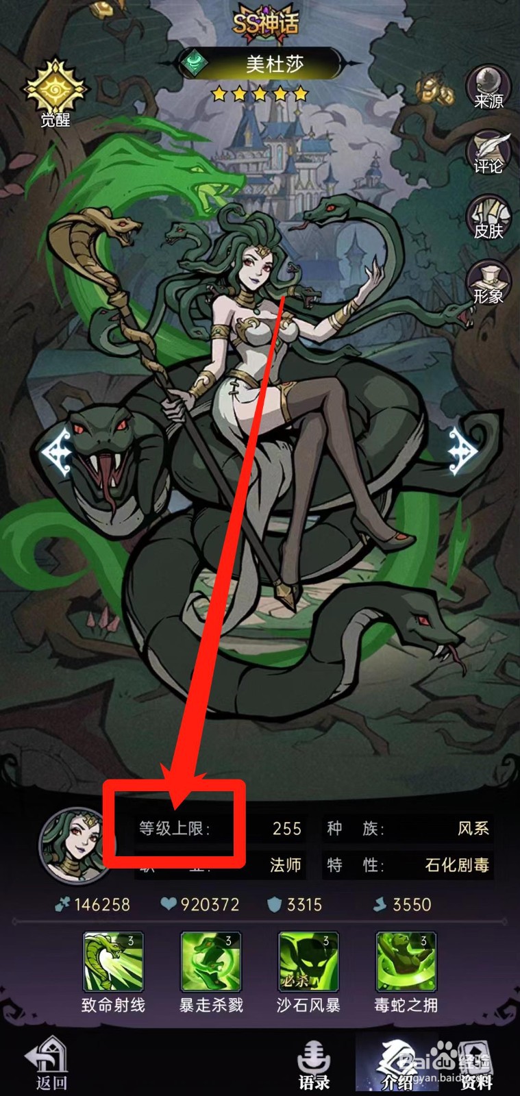 怎样查看魔镜物语的美杜莎【等级上限】