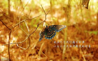 成大事必备手段