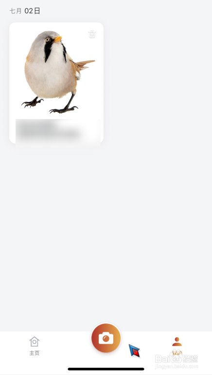 怎么使用手机拍照识别鸟类名称