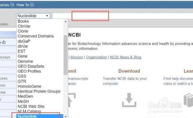 NCBI如何搜索基因和蛋白序列（如何在ncbi上查找基因序列蛋白质序列）