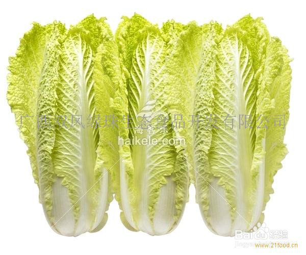 怎么区分娃娃菜和大白菜菜心
