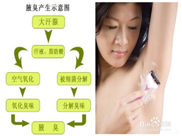 哪些人容易招蚊子