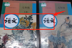 补习语文哪里好