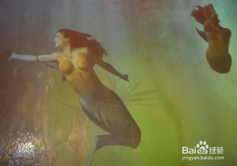 【澳门】浮光掠影澳门——澳门一日自助游攻略