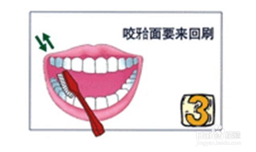 什么刷牙方式才是正确的如果以正确的姿势刷牙