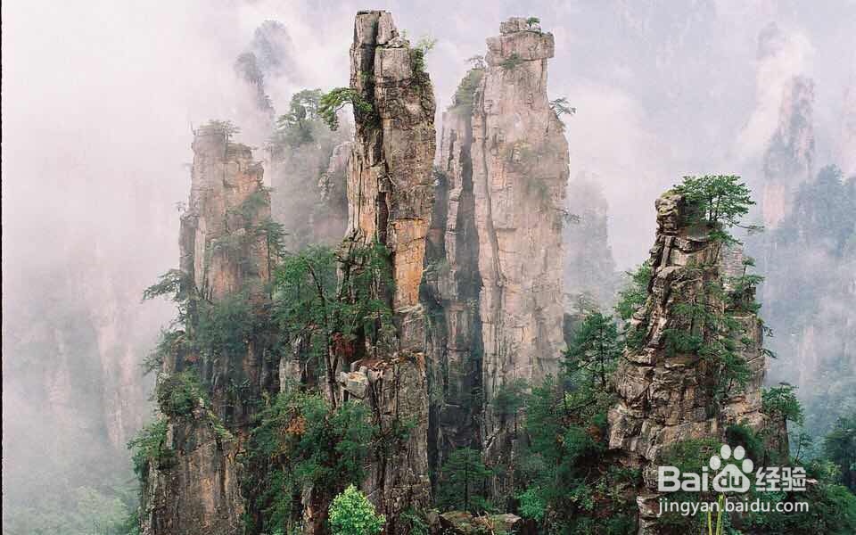 张家界旅游该注意些什么呢？