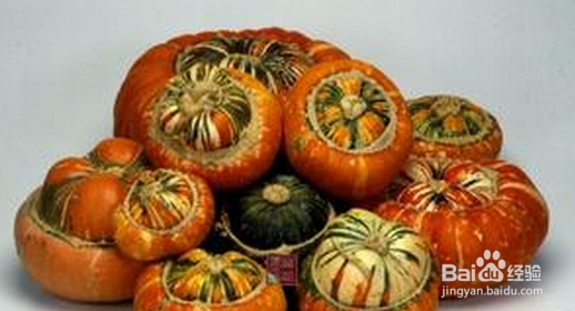 葫芦的各型分类