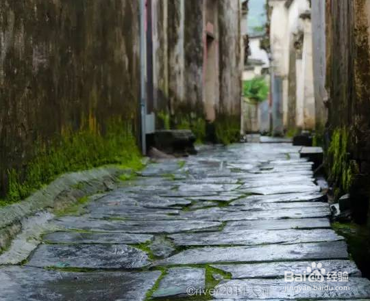 如何在不同路面使用不同技巧徒步穿越？