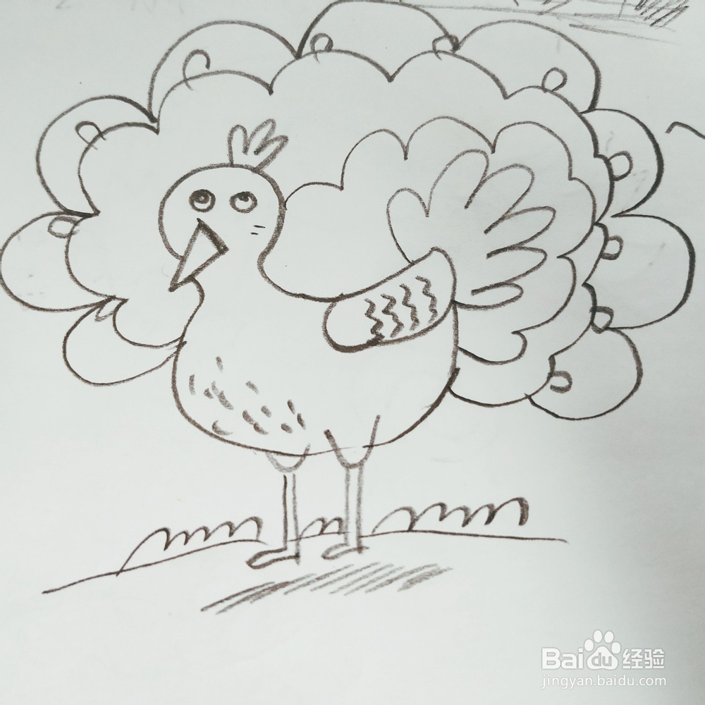我们如何来画一只卡通版孔雀简笔画呢