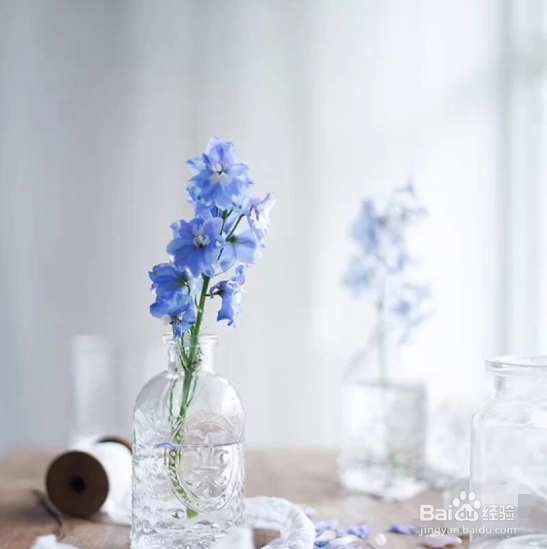 鲜花怎么养护会活得长一点