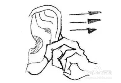 经验分享：不花钱易操作的养肾秘方