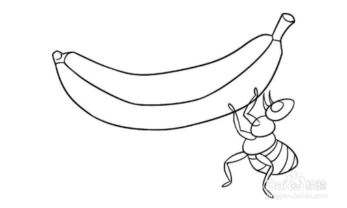 简笔画:忠诚的小狗和蚂蚁的绘画步骤