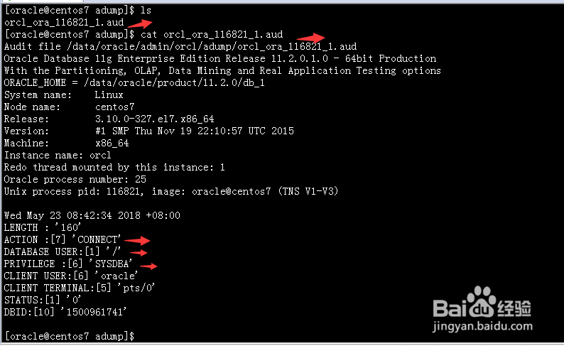 Oracle审计管理audit