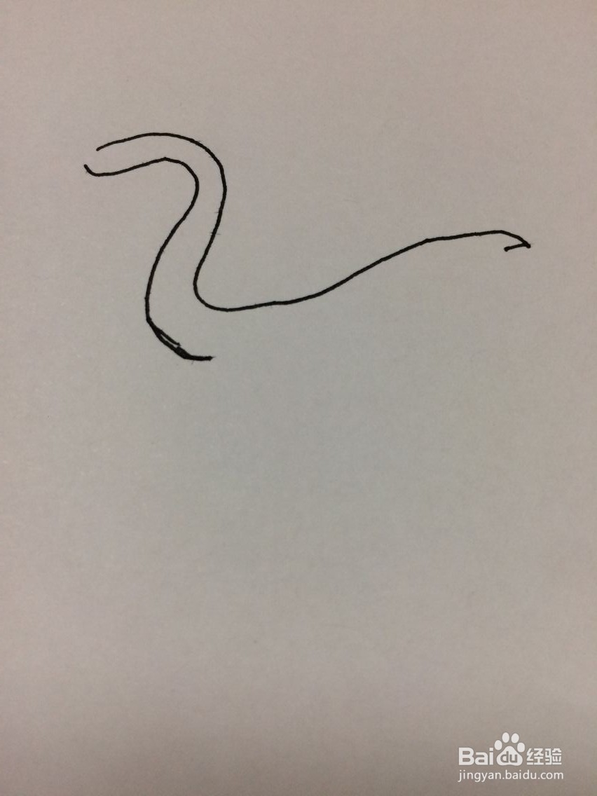 简笔画仙鹤的方法