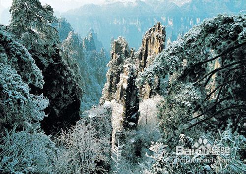 春节张家界旅游攻略及张家界旅游注意事项