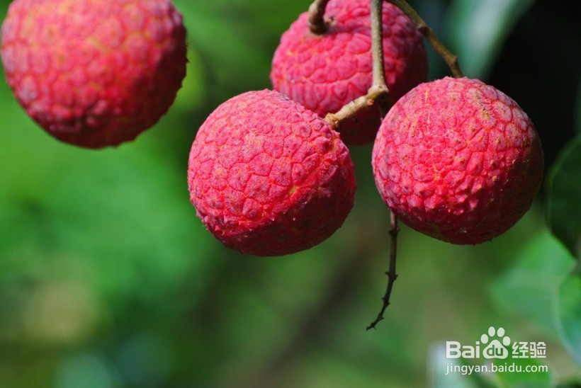 恋爱经历有苦也有甜