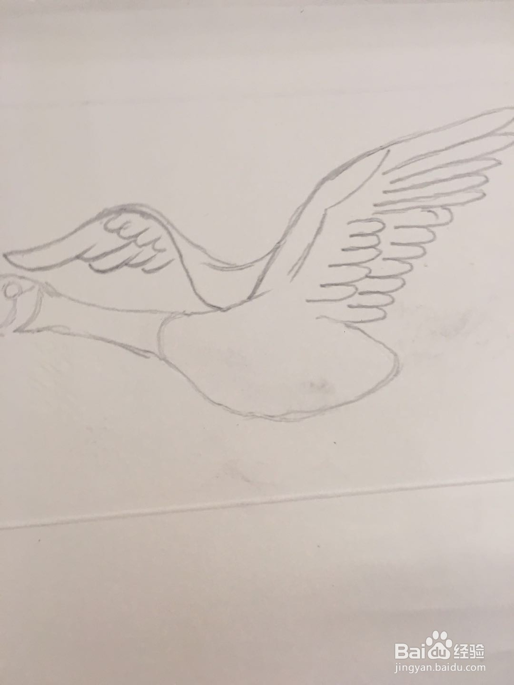 大雁的简笔画怎么画