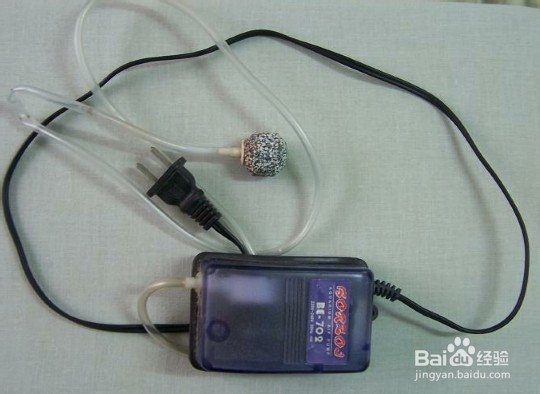 鱼缸有腥味怎么办