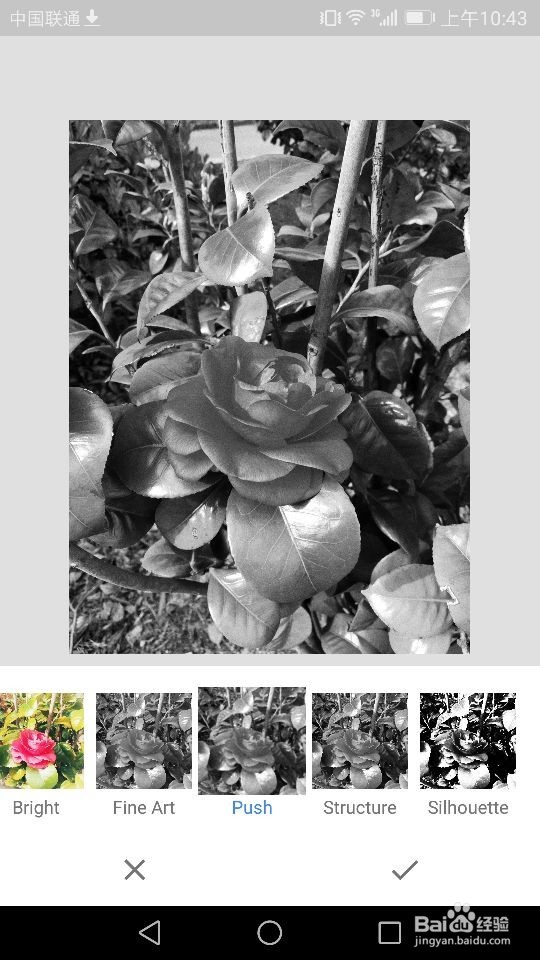 Snapseed软件如何进行照片样式的选择