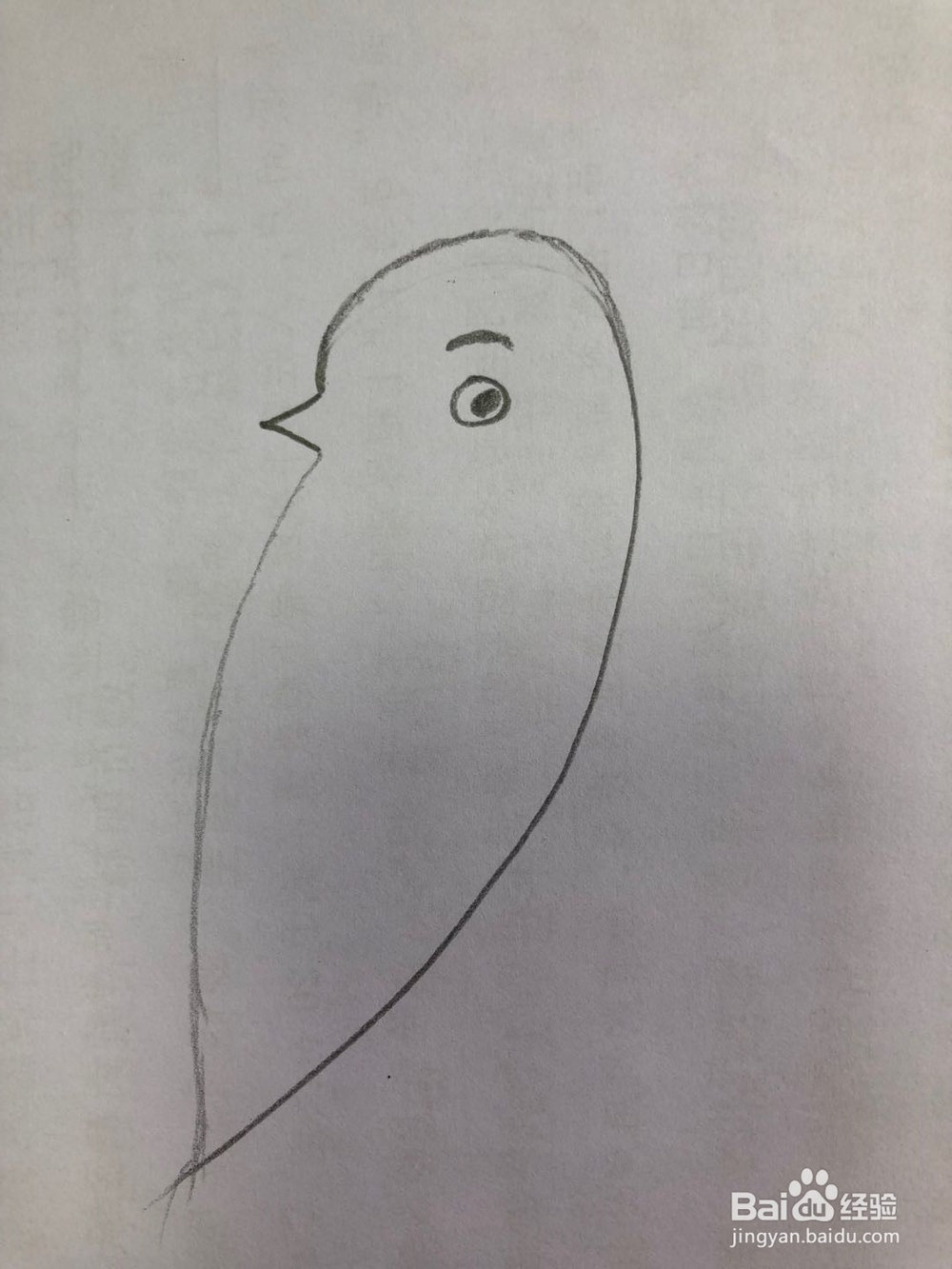 怎样画简易版的麻雀？