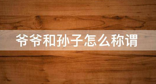 爷爷和孙子怎么称谓