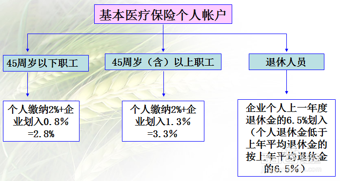职工医保怎么缴费