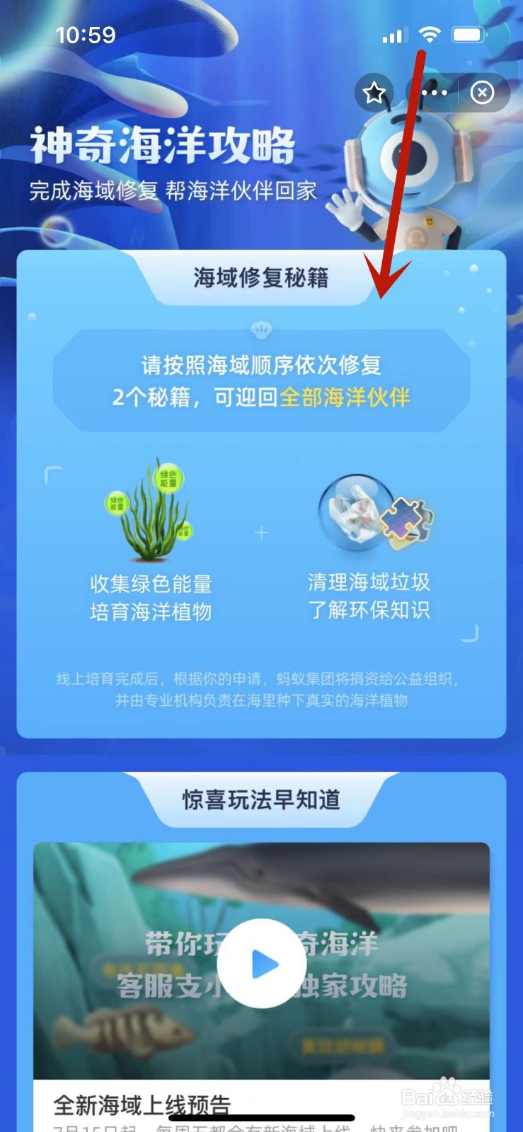 支付宝海洋第六关攻略