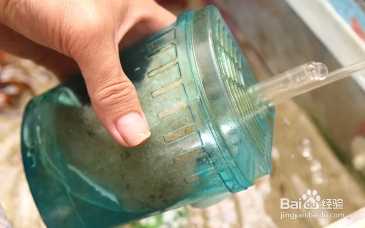 如何对你的鱼缸进行循环