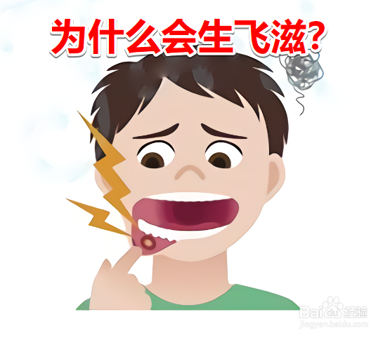 <b>为什么会生飞滋</b>