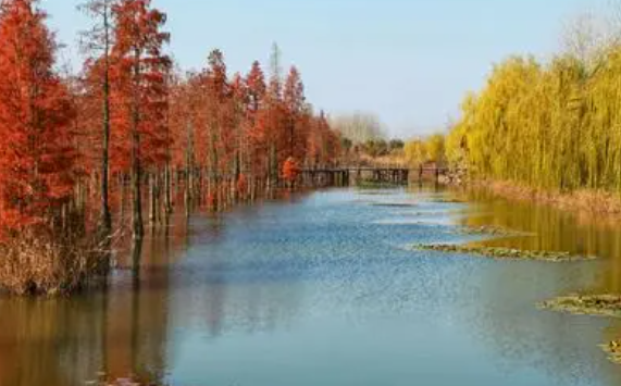 池杉湖和止马岭是一个地方么