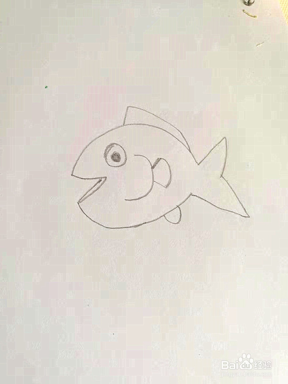 幼儿园简笔画教程：小鱼