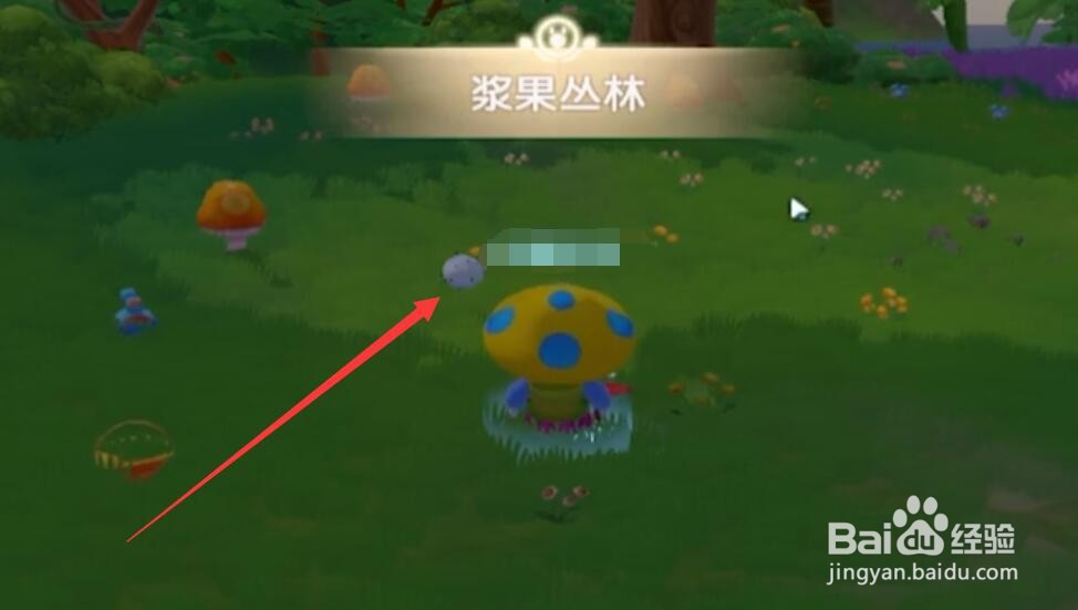 摩尔庄园手游怎么快速获得毛毛菇