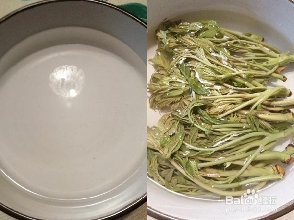 教你做香椿炒鸡蛋