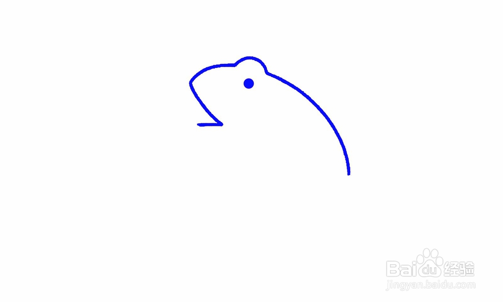 简笔画蹲着的青蛙怎么画?