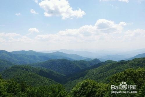 芝加哥如何去大雾山