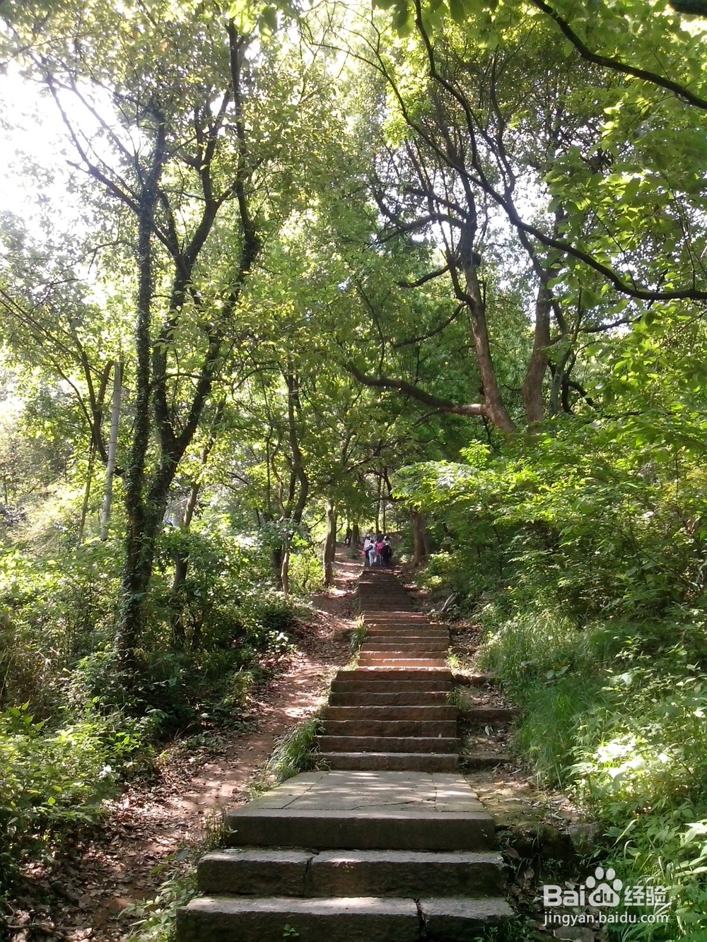 假期旅游之浙江超山风景区