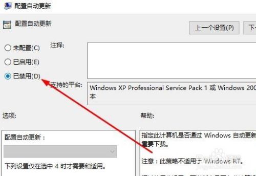 Win10怎么关闭自动更新 如何禁用自动更新功能