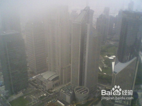 出差记之上海游记