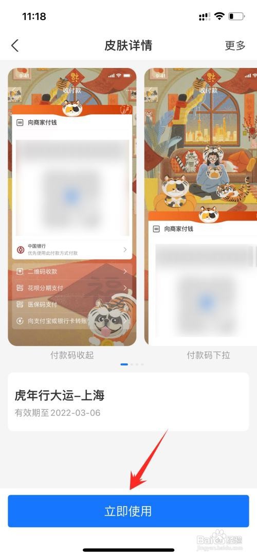 支付宝主题皮肤在哪里设置