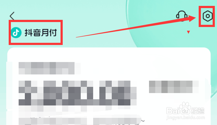 如何关闭抖音月付功能