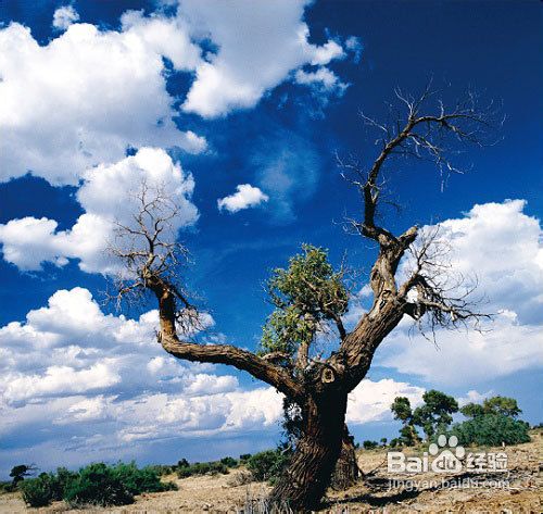 风景摄影的拍摄秘诀