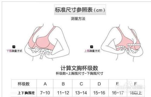 怎麼區分女性胸圍abcd杯