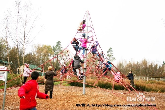 温哥华小学生郊游学什么