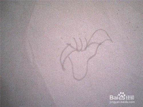 简笔画 百合花怎样画