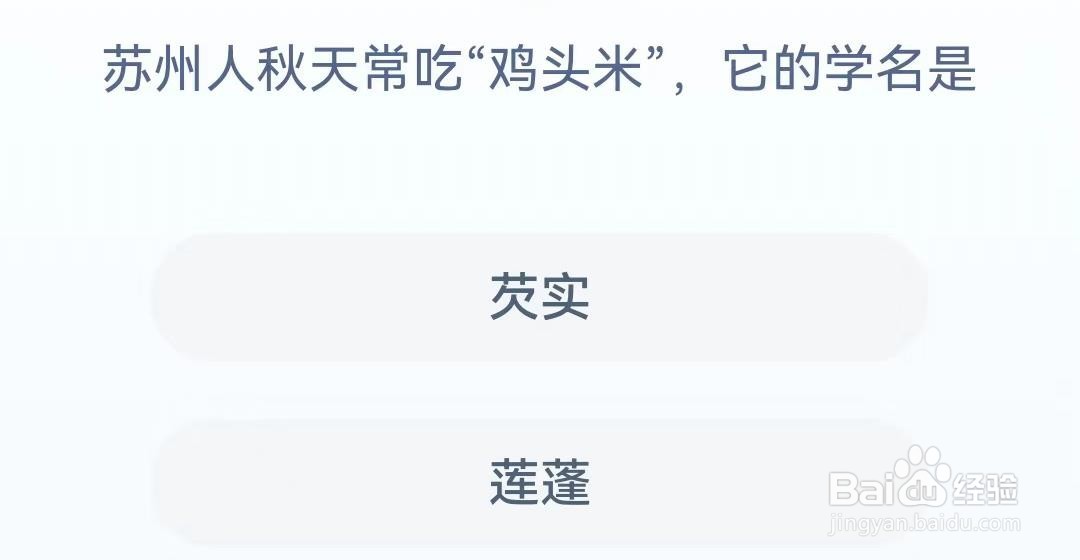 秋天常吃“鸡头米”学名什么?